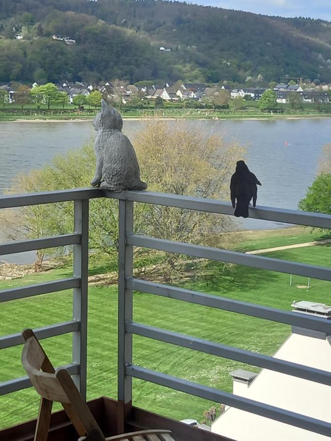 Rheinapartment 8 Bad Honningen Esterno foto
